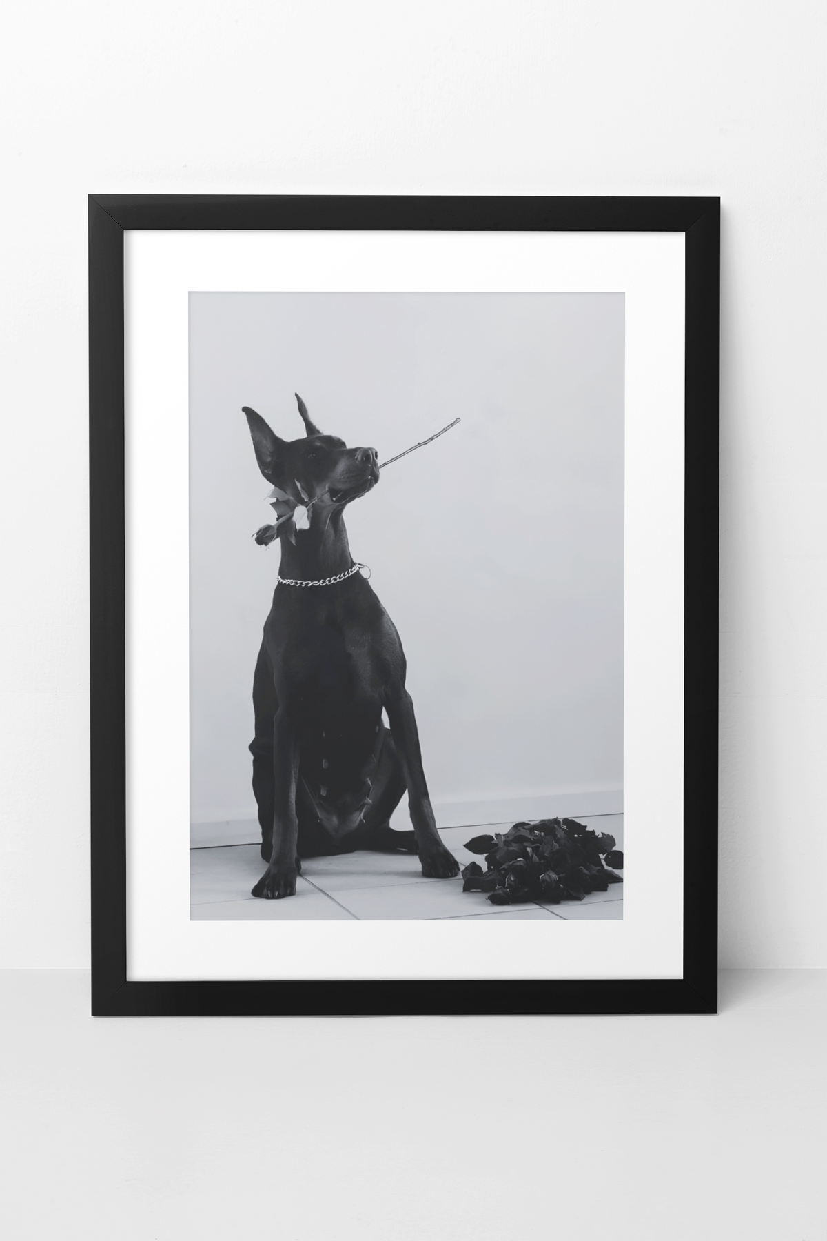 Guard Dog Holding Rose Fashion Wall Mount | Timeless Black & White Animal Lover Gift Poster